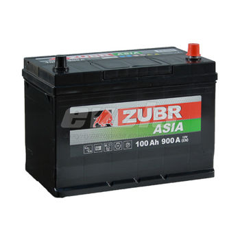 ZUBR Premium Азия  6ст-100 R+ D31